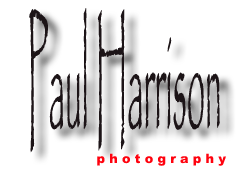 Paul Harrison Photography